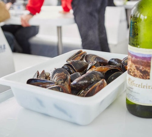 3_Excursion_Rias_Baixas